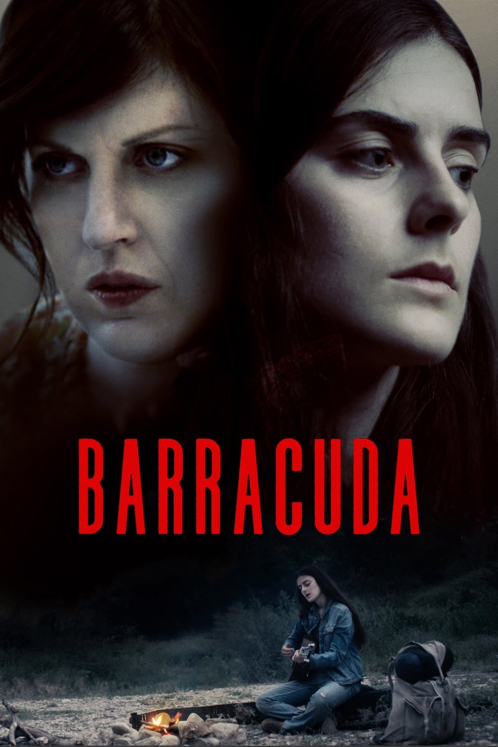 Постер Barracuda